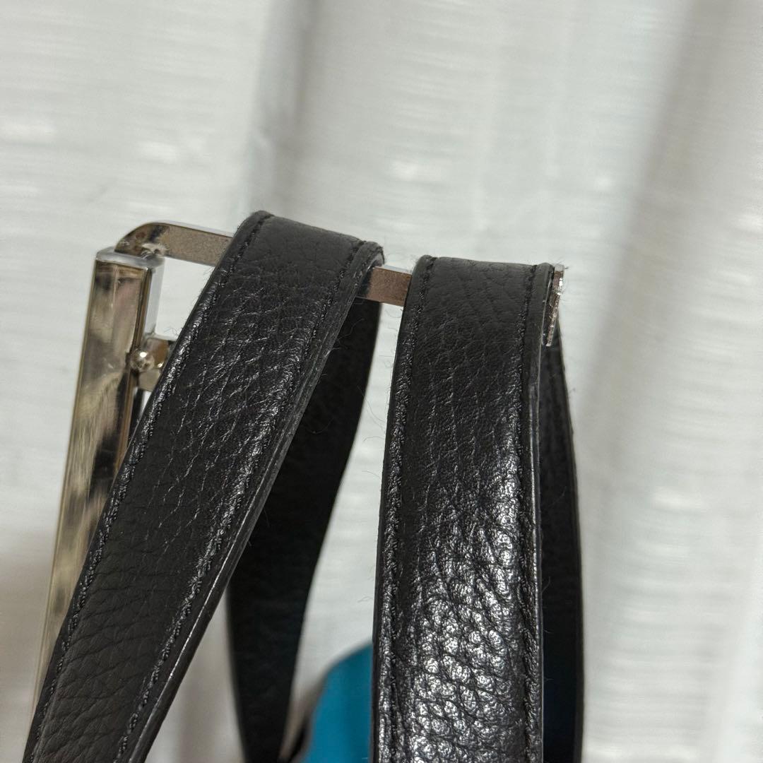 ⭐️極美品⭐️ ペッレモルビダ　テーラマリーナ　ブラック　ミニトート　シボ革