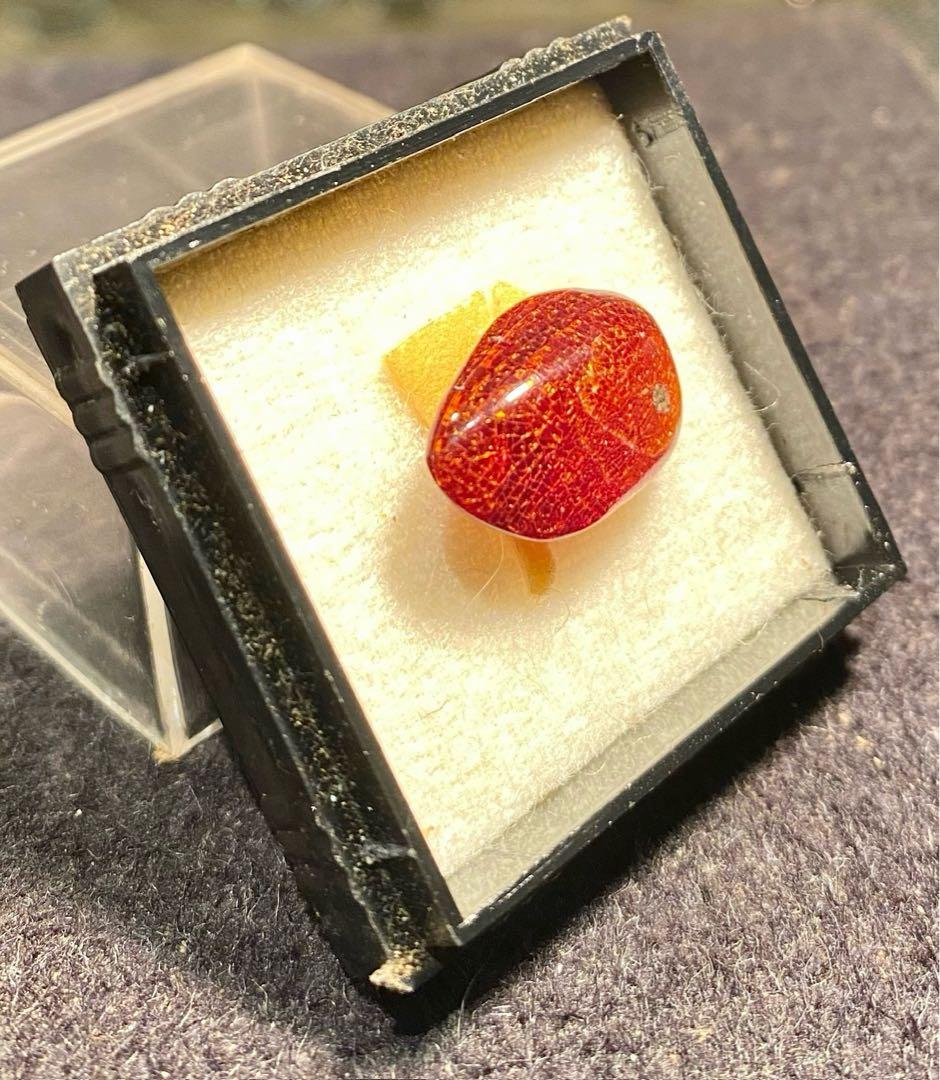 ジェラシックパークの初期作品を思い出す！虫入り琥珀！蚊のような昆虫が入っています