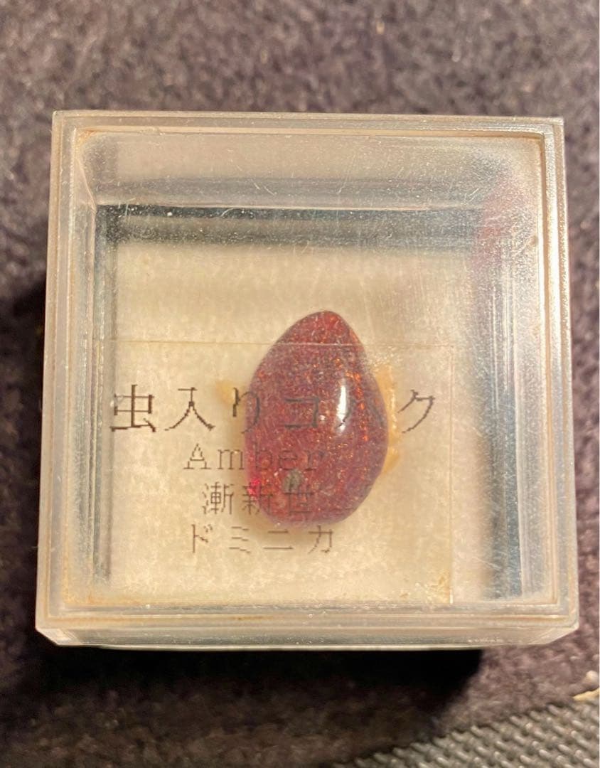 ジェラシックパークの初期作品を思い出す！虫入り琥珀！蚊のような昆虫が入っています