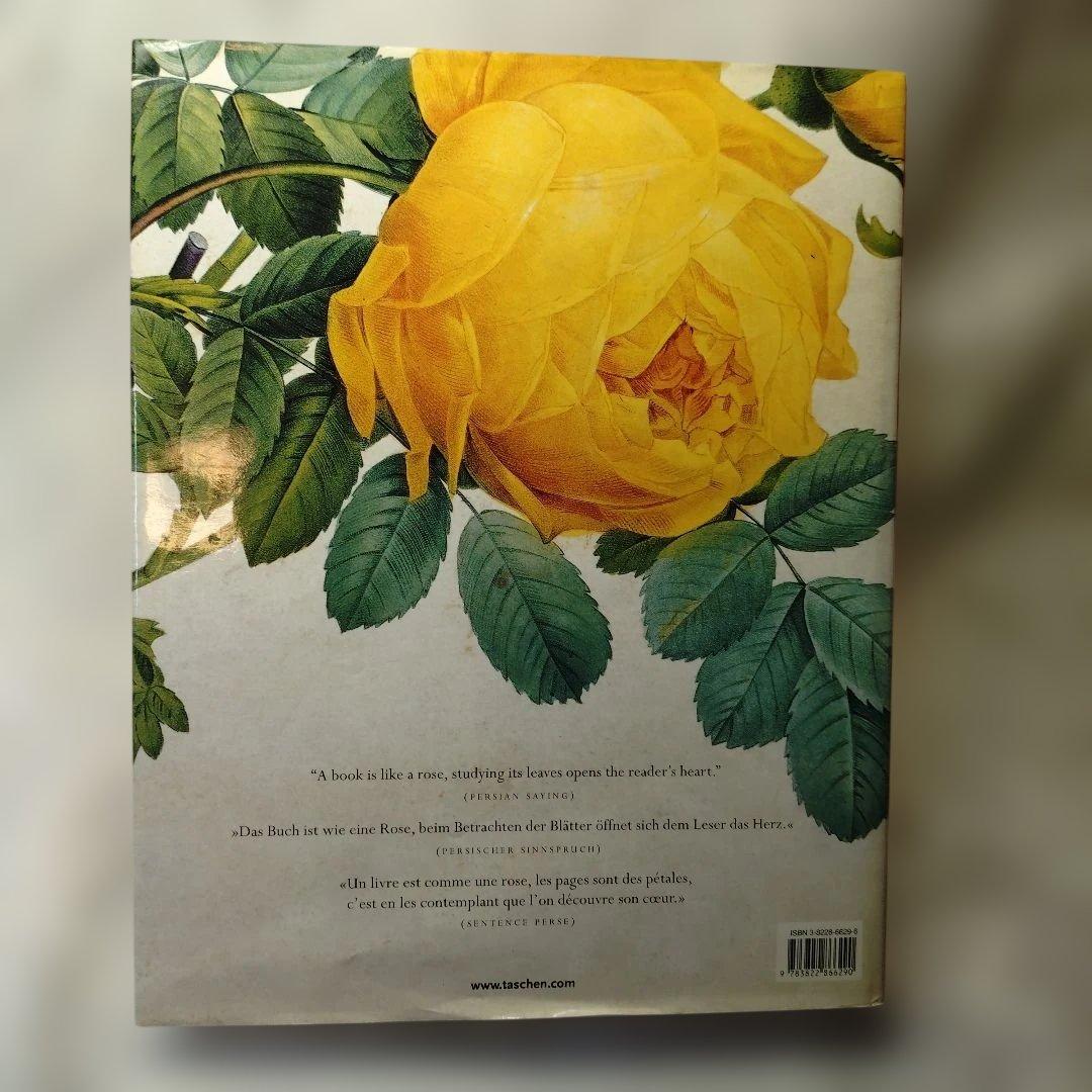 REDUTE ルドゥーテ　バラ