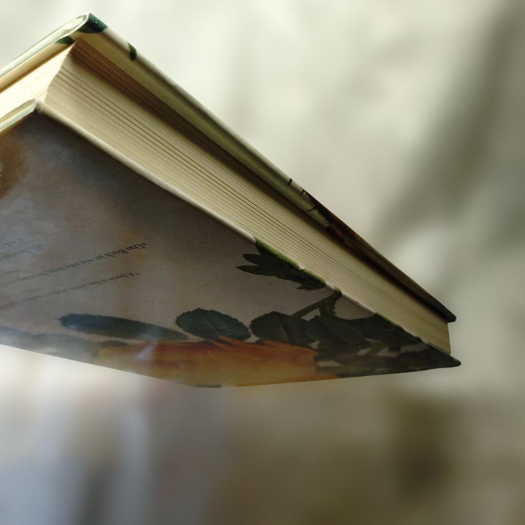 REDUTE ルドゥーテ　バラ