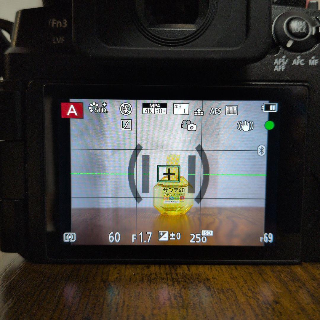 LUMIX　G99M2　ボディ