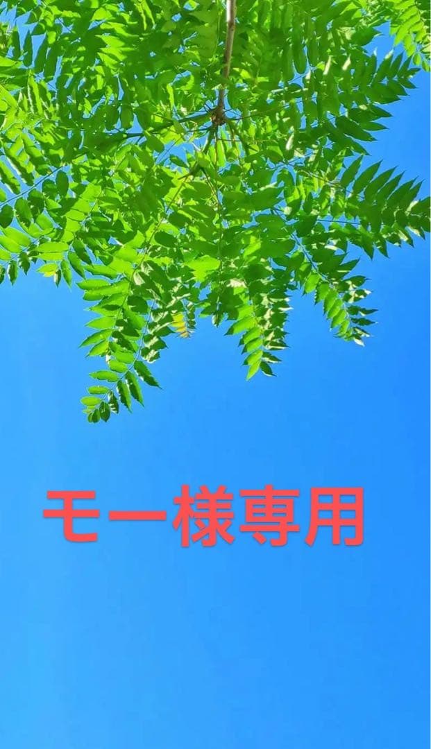 モーページ スリッパ サイズ37