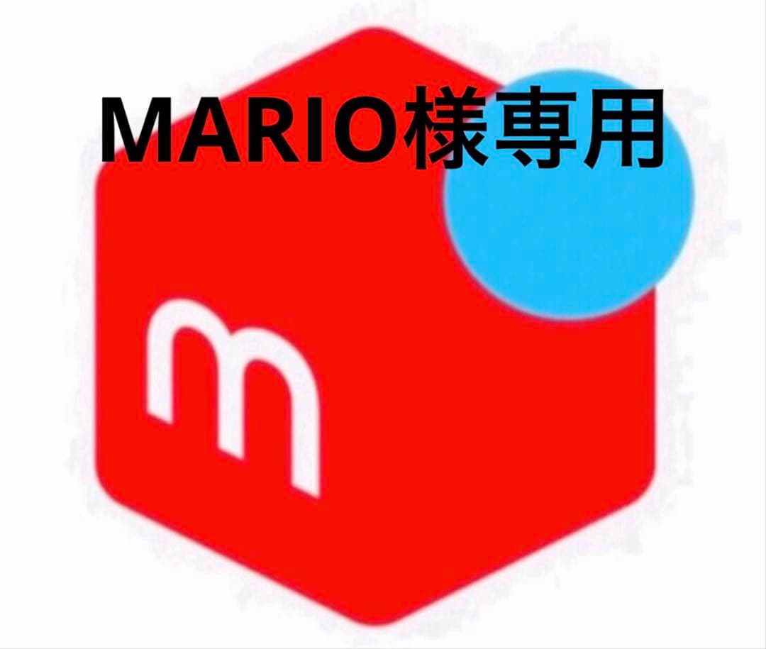 その他 MARIO