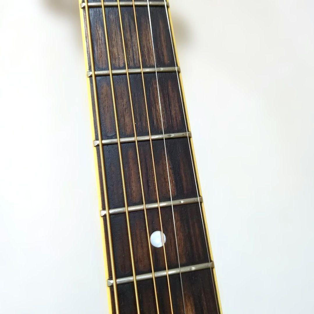 Pro Martin EA500W VS エレアコ