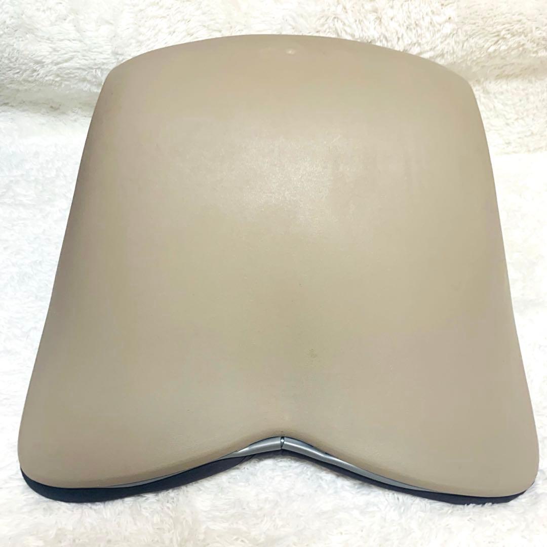 MTG スタイルプレミアム Style PREMIUM 姿勢矯正　クッション