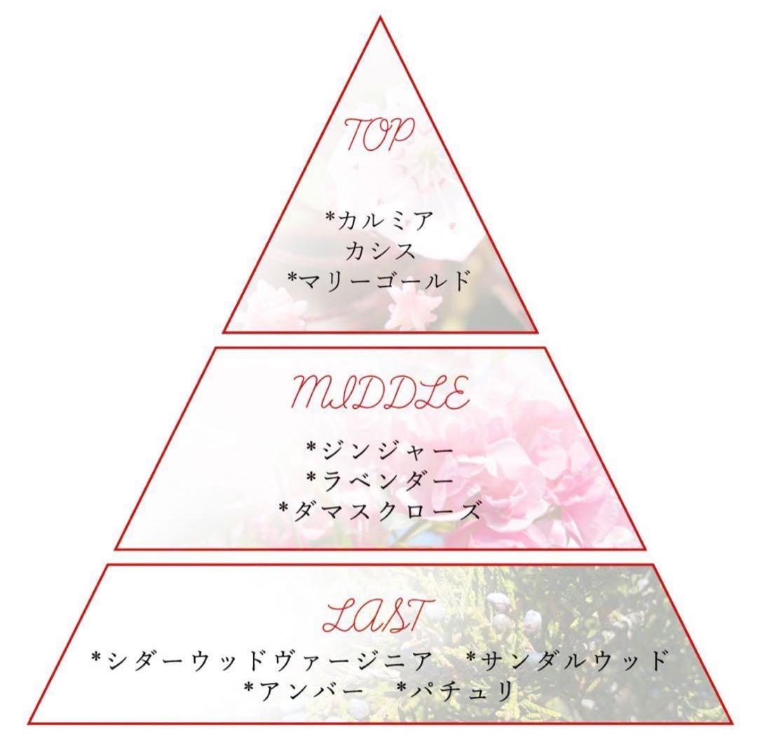 NOZ COLLABORATION ディオ　香水　専用ボックス付き