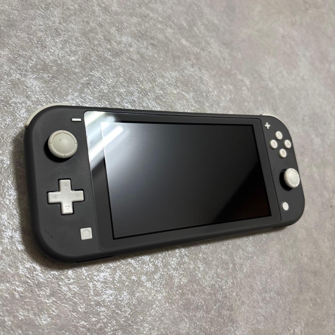 ジャンク品Nintendo Switch Lite グレー 本体　画面映りが不良