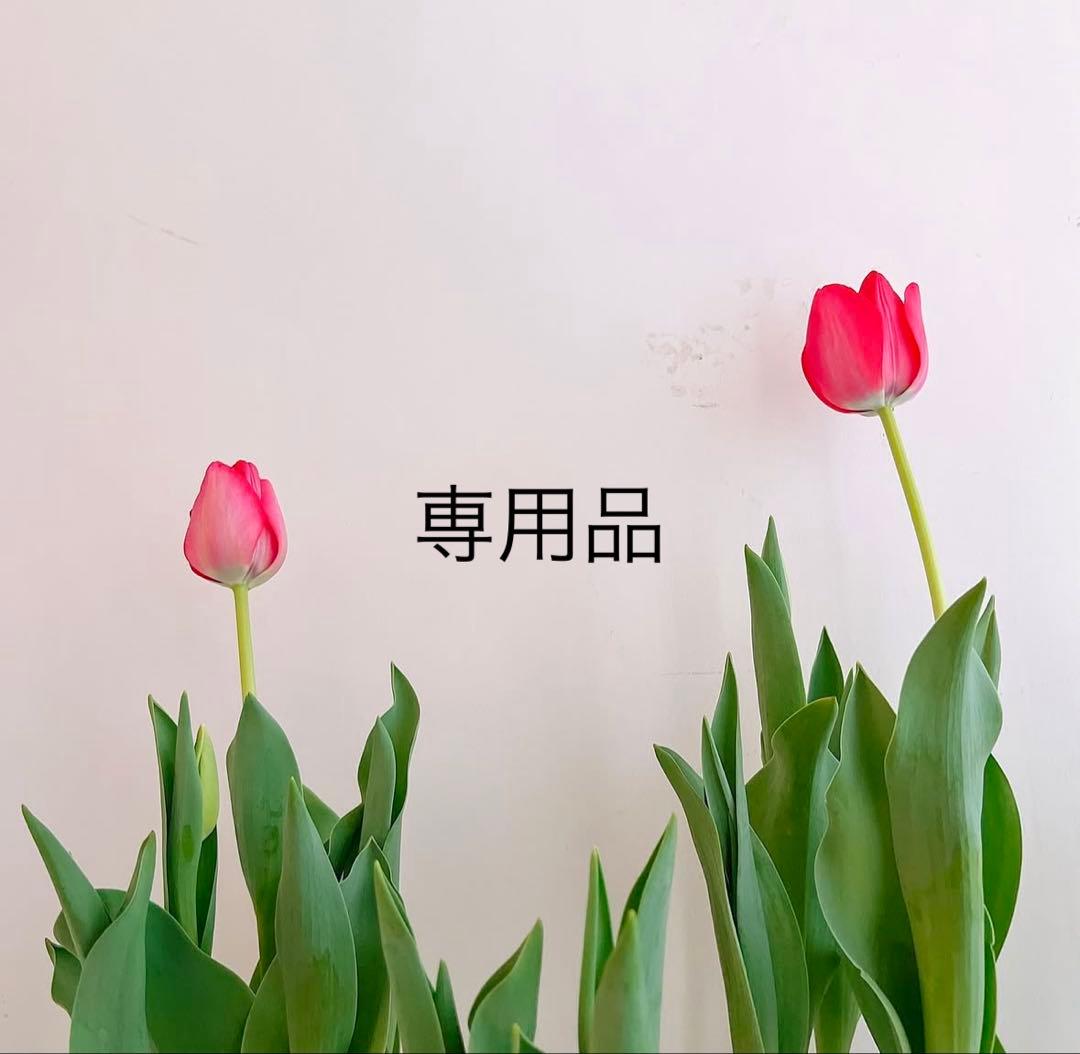 mnm様　ハイディングコンシーラー　Cマスク2箱　サンスクリーン