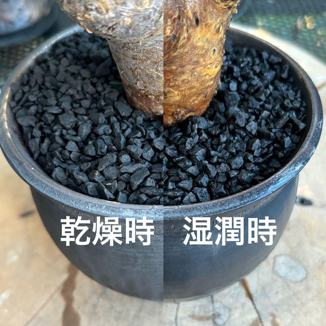 10kg 化粧石 砂 マルチング デコジャリ ブラック アガベ 化粧砂 土