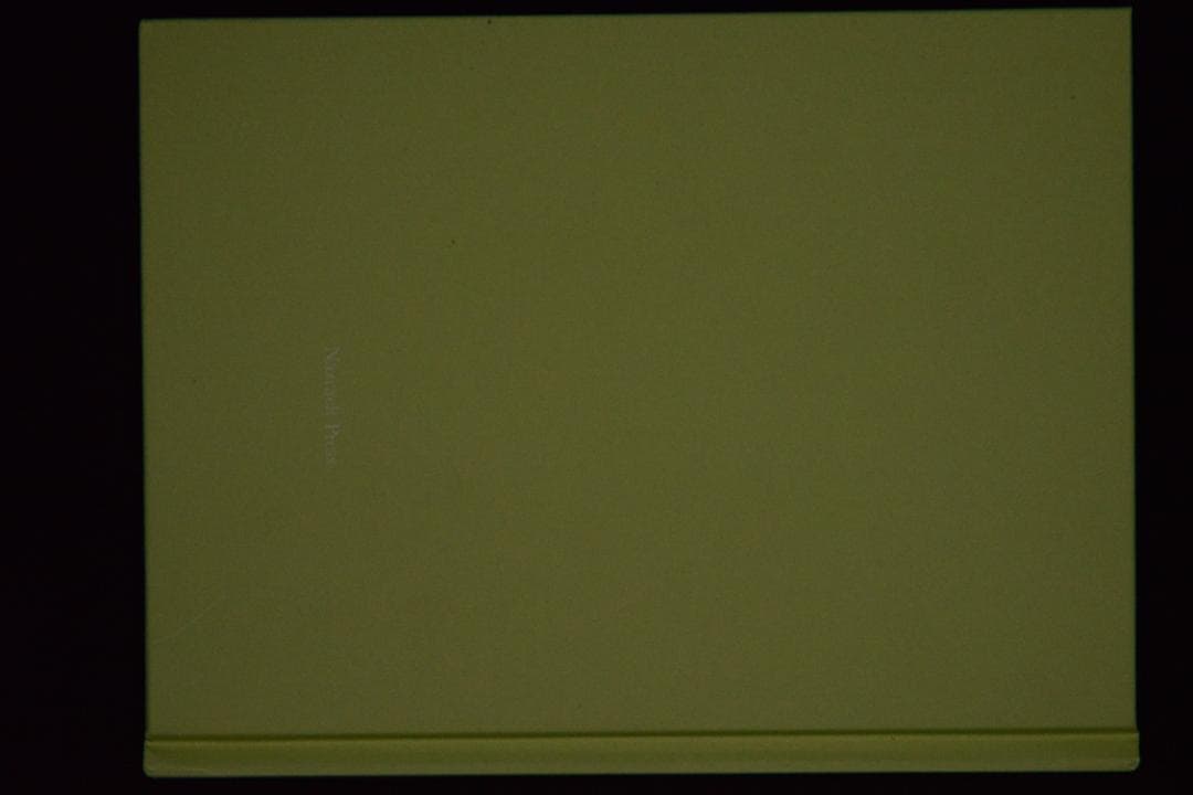 【 Ron Van Dongen: A. angustatum】★値下げしました