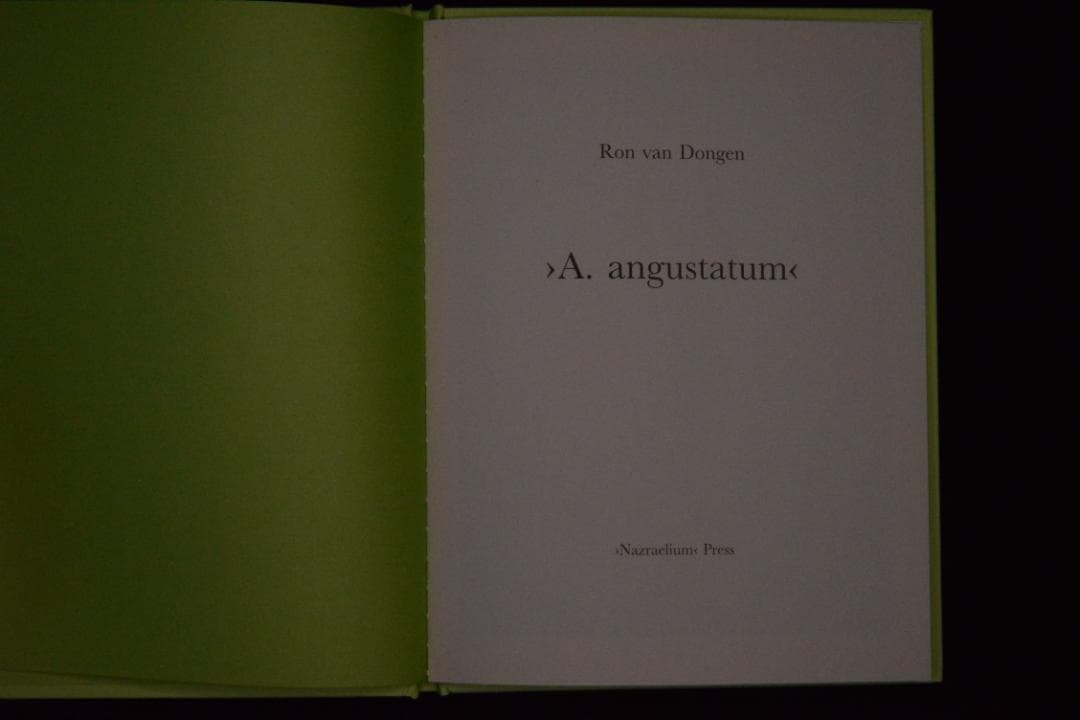 【 Ron Van Dongen: A. angustatum】★値下げしました