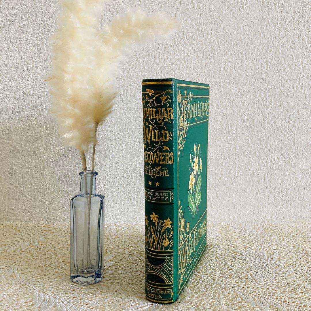 Familiar Wild Flowers　希少なアンティーク植物図鑑　洋書古書