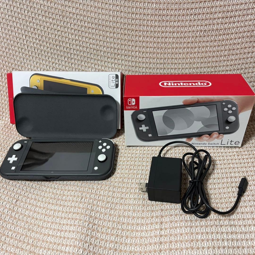 Switch lite ライト　フリップカバー付き　動作確認済み