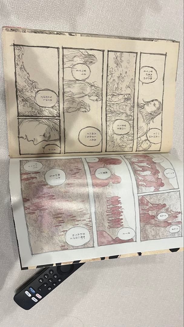 モーニング2009年26号/バガボンド表紙&巻頭カラー/井上雄彦/希少レア乱丁本