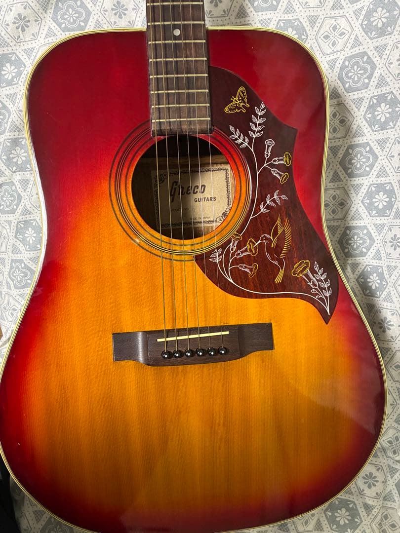 ス*ー様 アコースティックギター　アコギ　Greco【弦・ソフトケース付属】