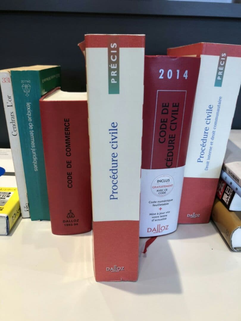 【洋書・専門書】【研究支援】procedure civile