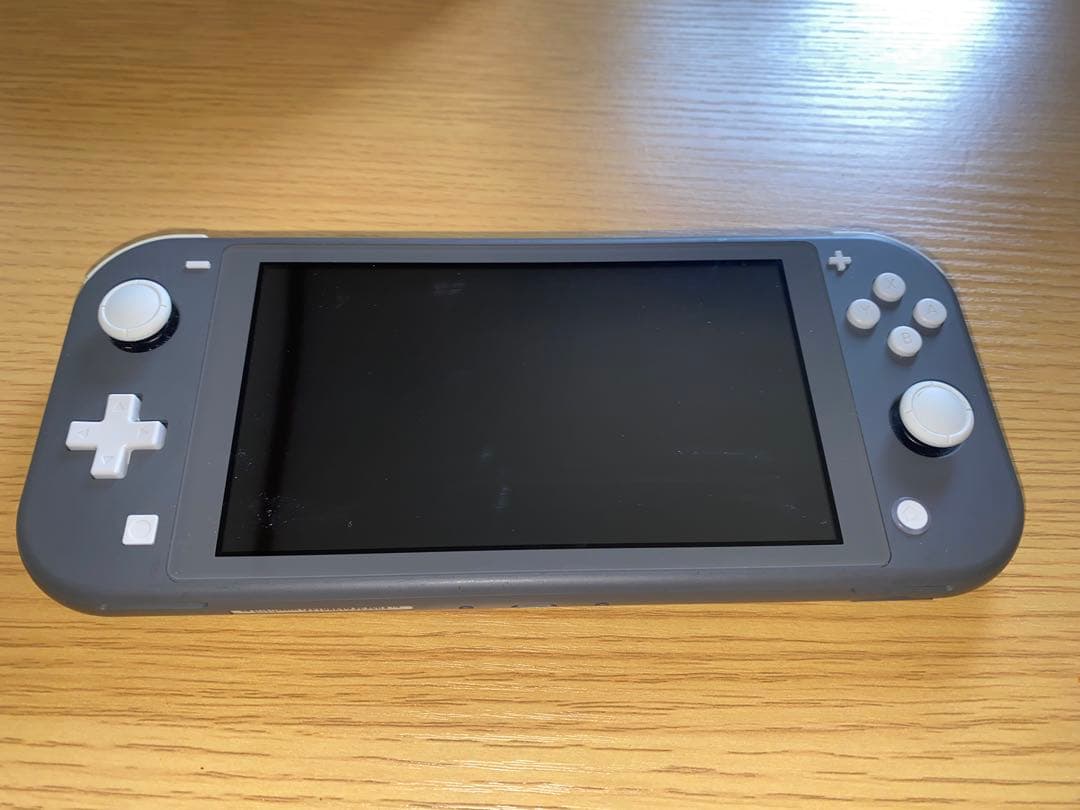 【極美品】Nintendo Switch Lite グレー 充電器付き