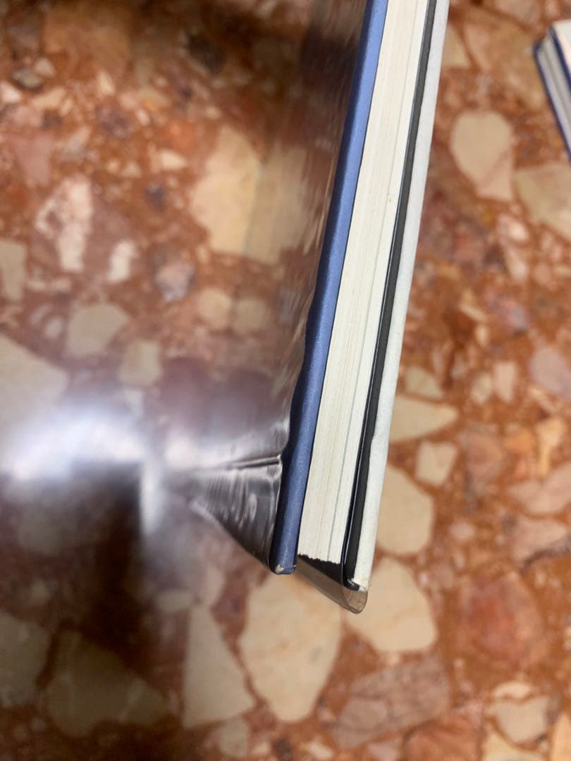 建築　カルロ・スカルパ 洋書　Carlo Scarpa