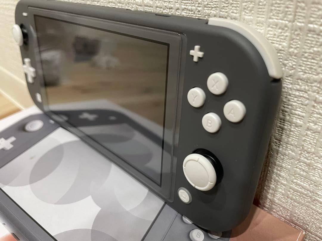 Nintendo Switch Lite グレー 箱,ソフト,充電器,フィルム