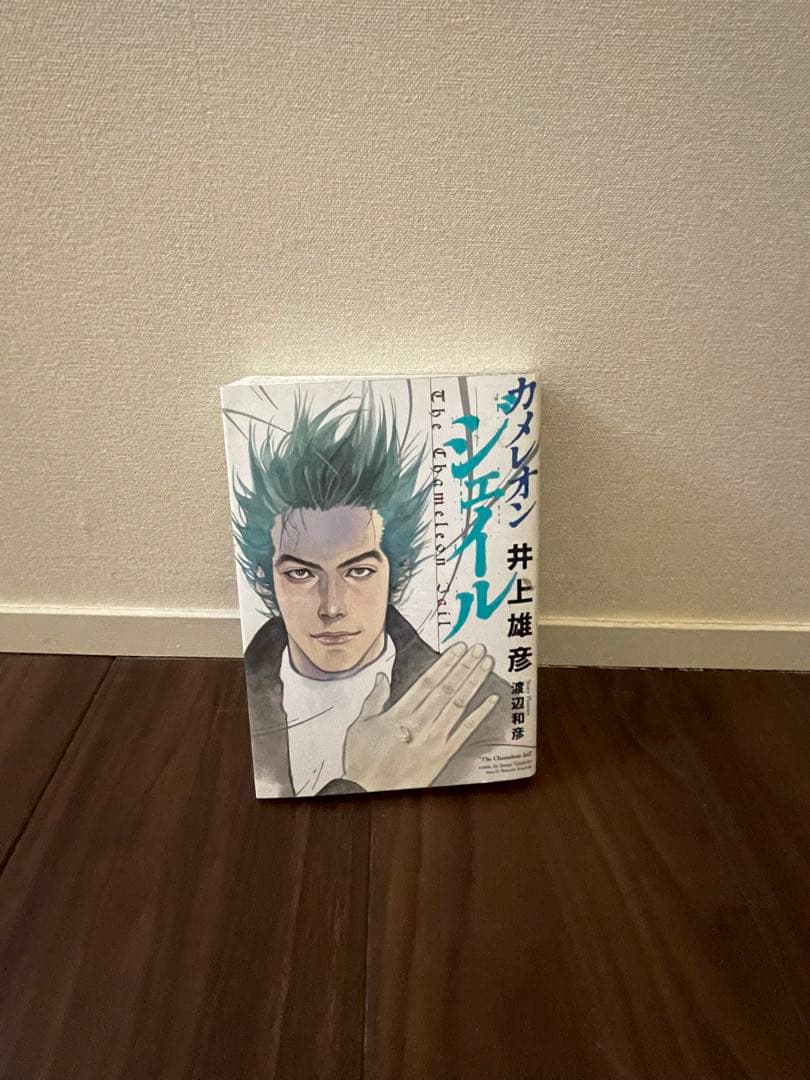 バガボンド1〜27、スラムダンク全巻、リアル1〜7、ブザービーター、カメレオン