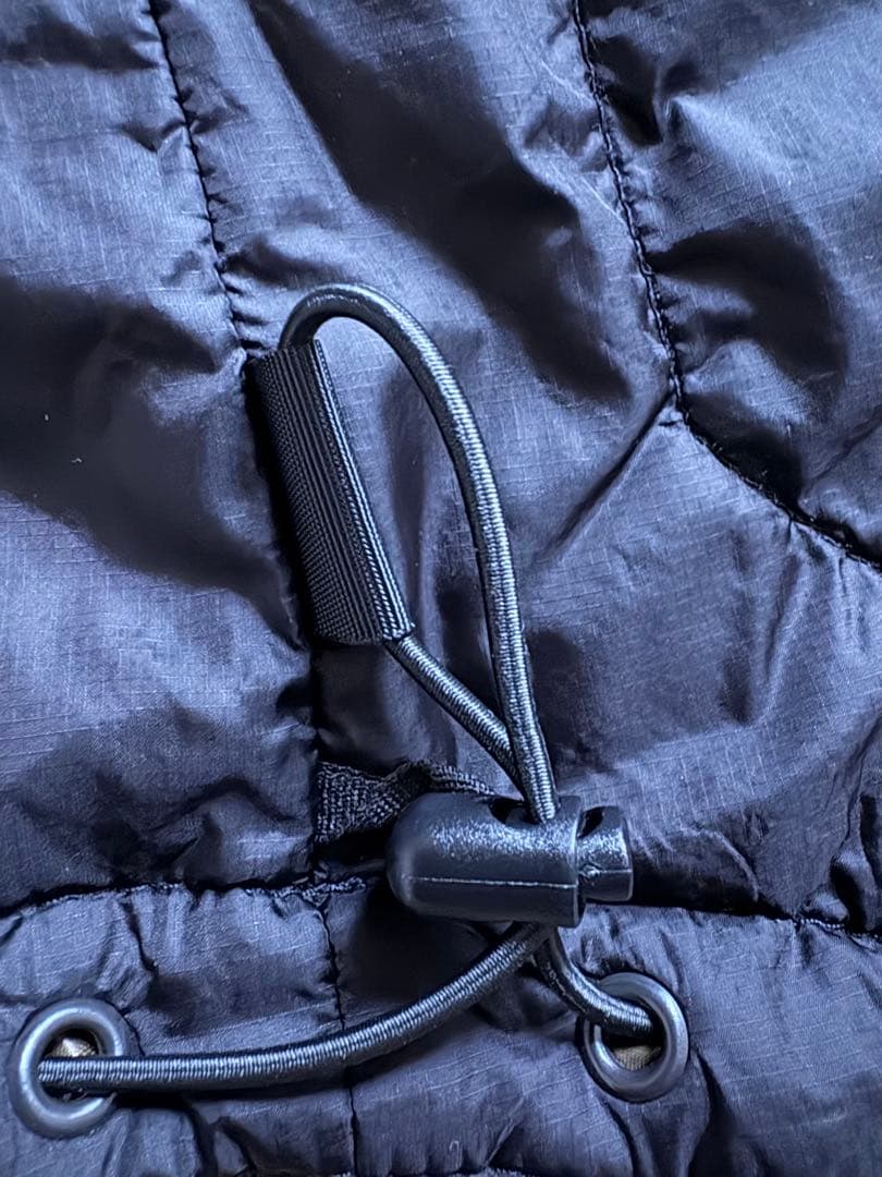 【美品】 Navy Carinthia LIG4.0 L