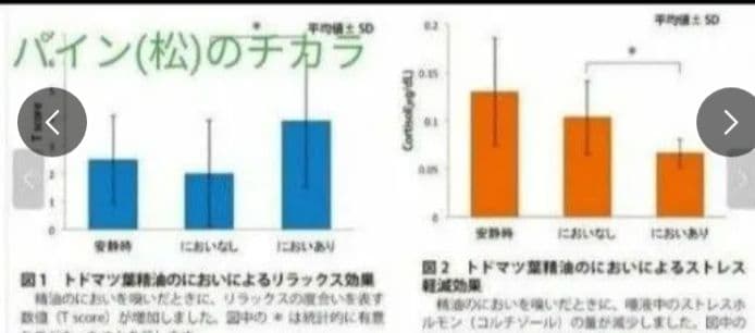 【送料無料】創業安政二年老舗の入浴剤　オンセンスパインバス2.1キロ×6缶限定