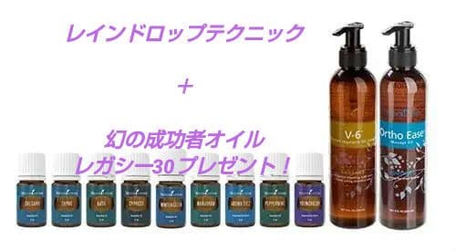 【最終値下げ】ヤングリビング・レインドロップテクニック特大サイズセット