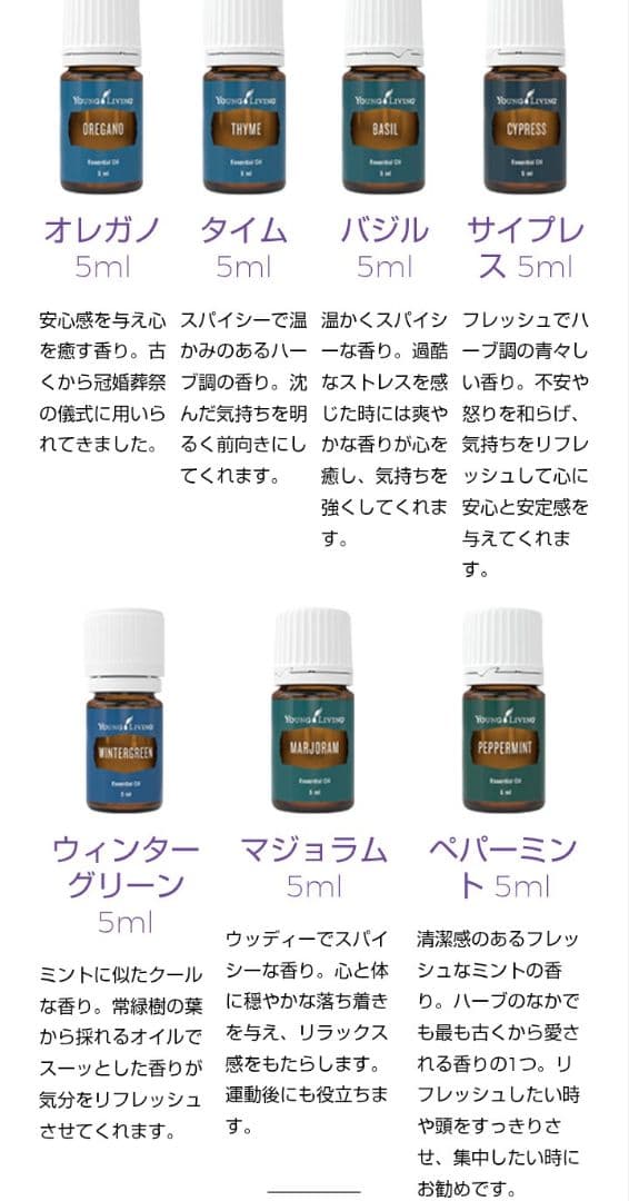 【最終値下げ】ヤングリビング・レインドロップテクニック特大サイズセット