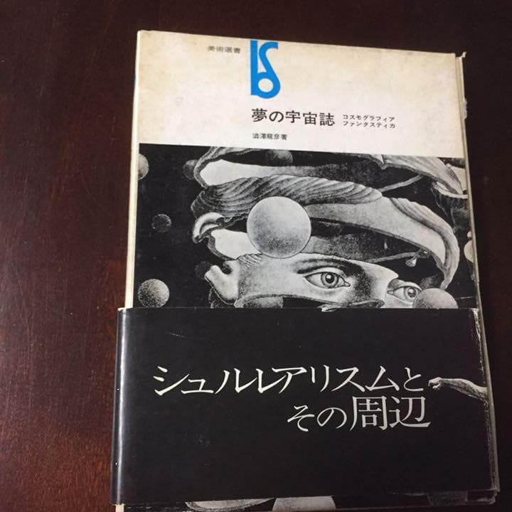 能登地震寄付　夢の宇宙誌　コスモグラフィア ファンタスティカ　澁澤龍彦　1964