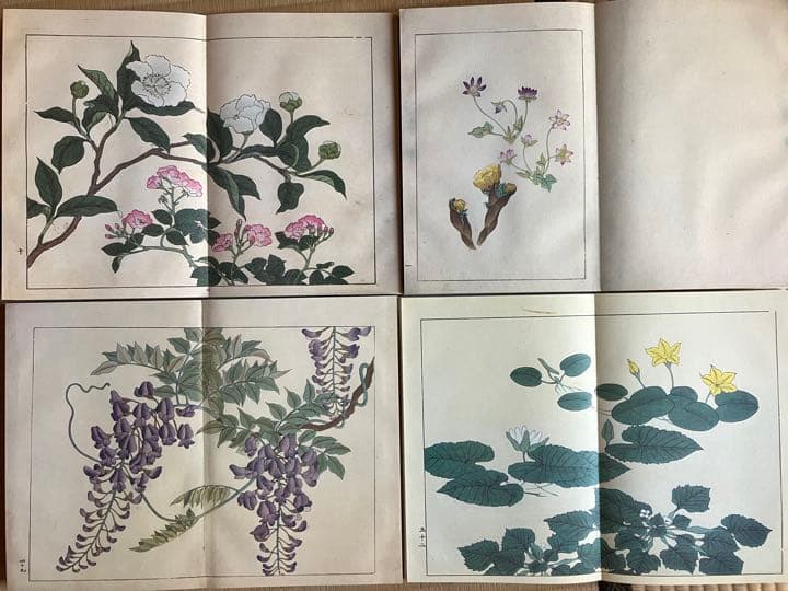 四季の花　復刻版　全10冊　はなてちょう4冊付