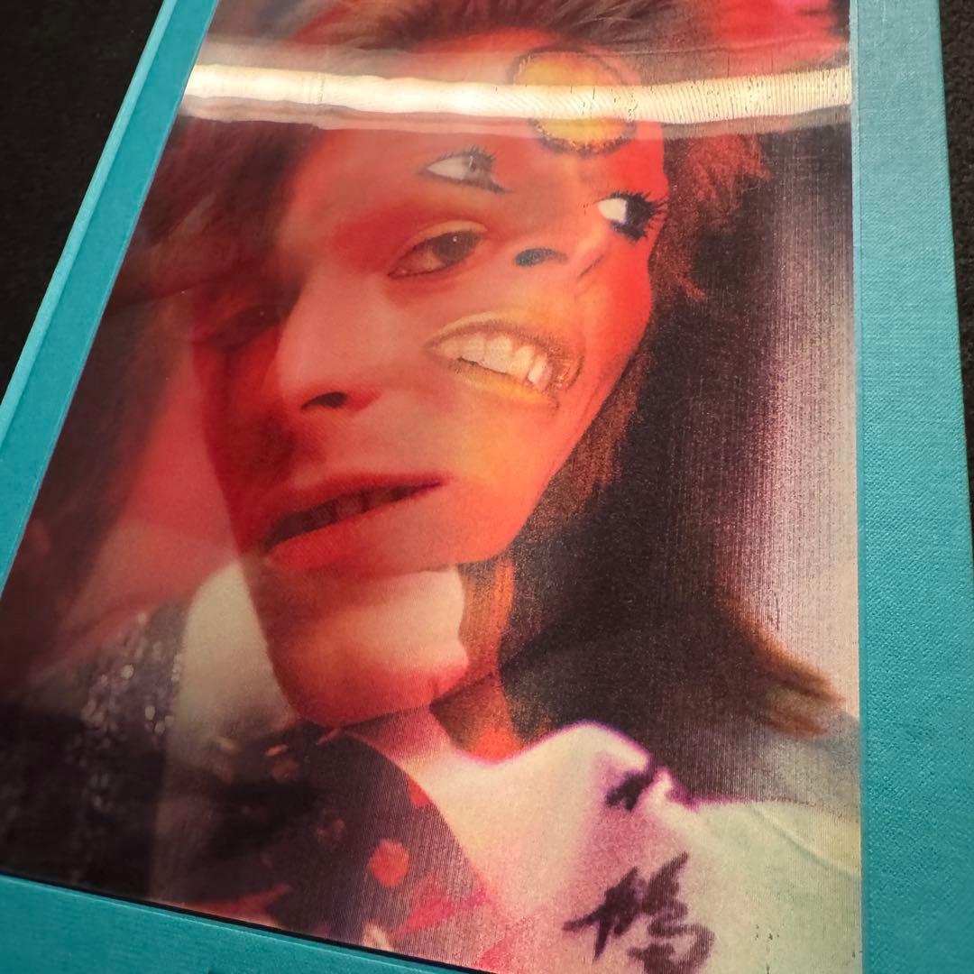 The Rise of David Bowie,デビッドボウイ