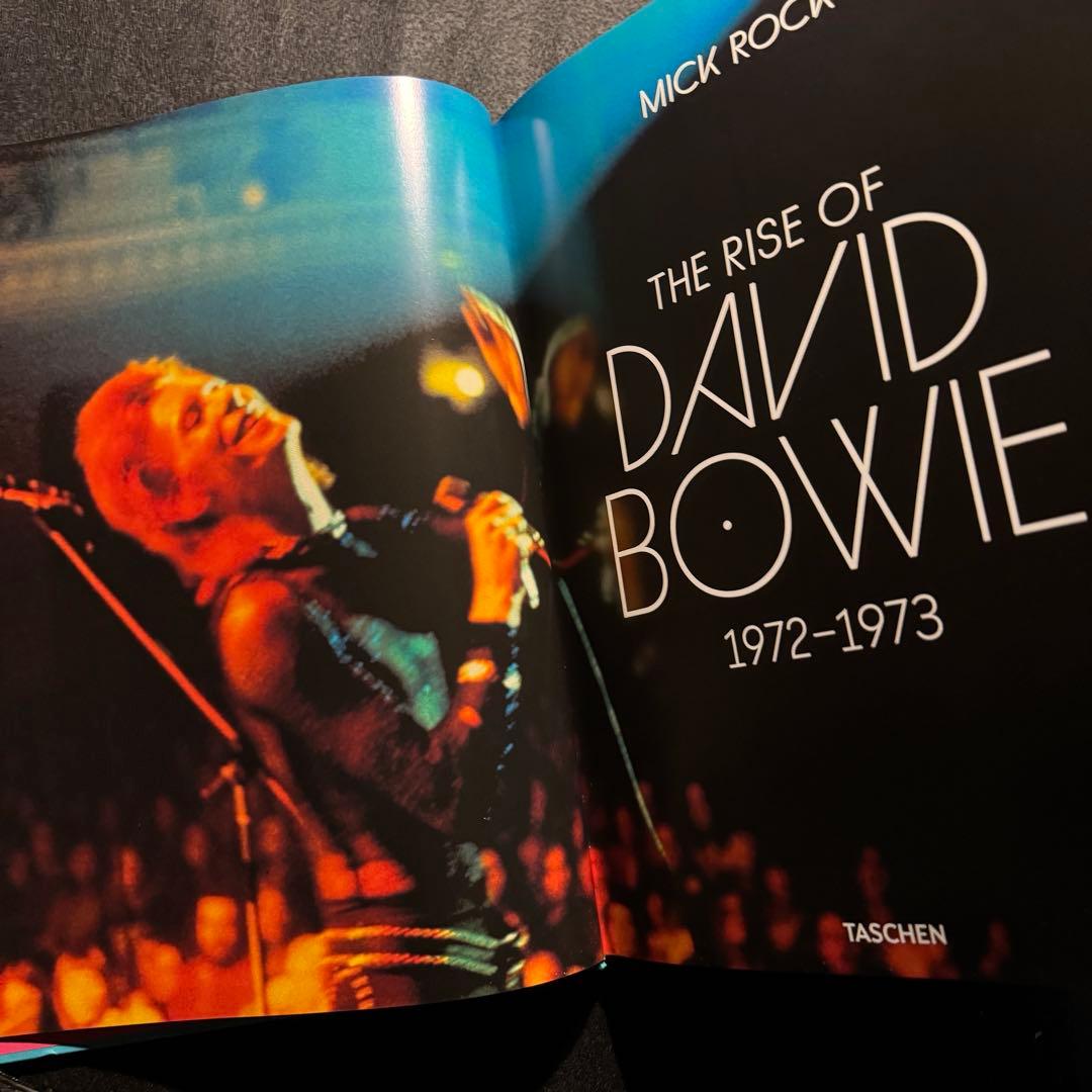 The Rise of David Bowie,デビッドボウイ