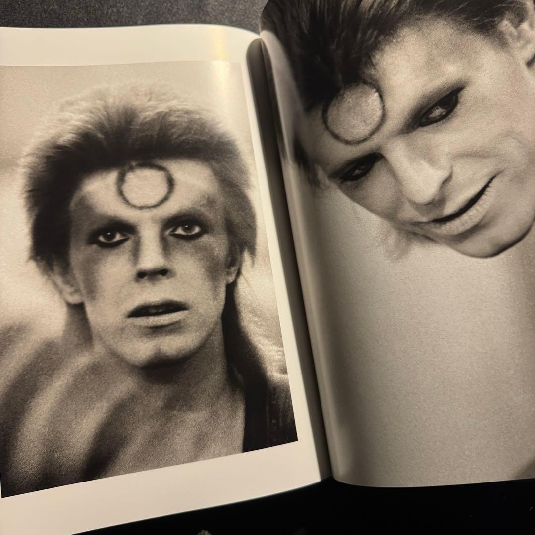 The Rise of David Bowie,デビッドボウイ