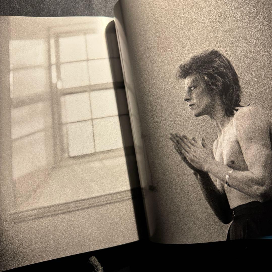 The Rise of David Bowie,デビッドボウイ