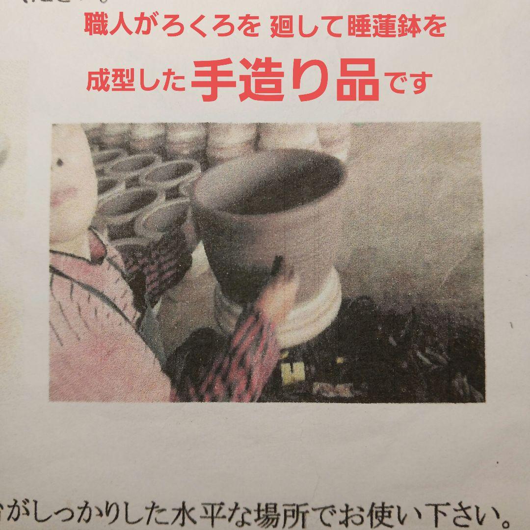 新品　特大51x49　陶器睡蓮鉢　メダカ鉢　難有　エメラルドグリーン　緑黒LBK