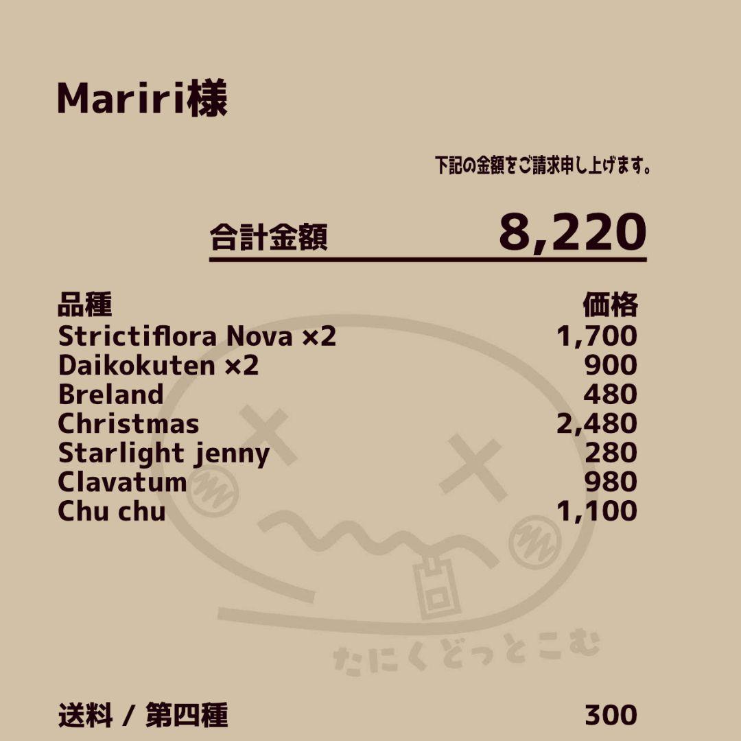 Mariri様