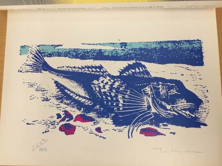 ★美術季刊誌 版画藝術 1975年 限定8575部 オノサト・トシノブ 高柳裕