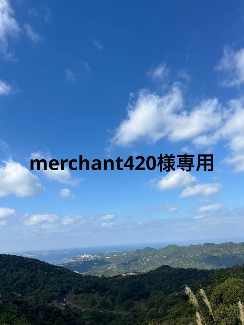 新/旧 ジャパレゲ レコード 10枚(17曲) セット レゲエ レコード