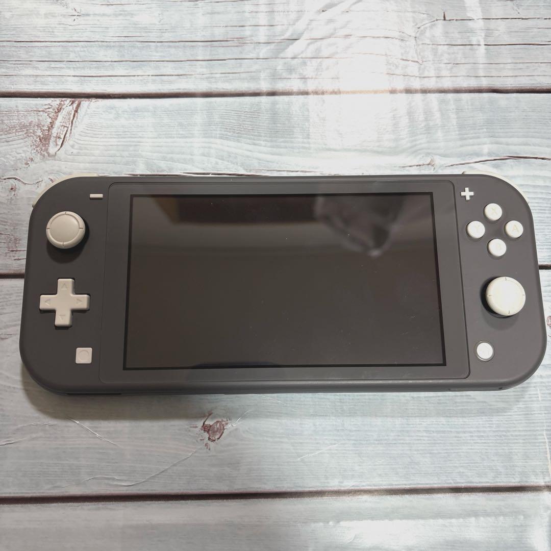 Switchライト本体のみ　グレー　液晶難あり　訳ありジャンク品
