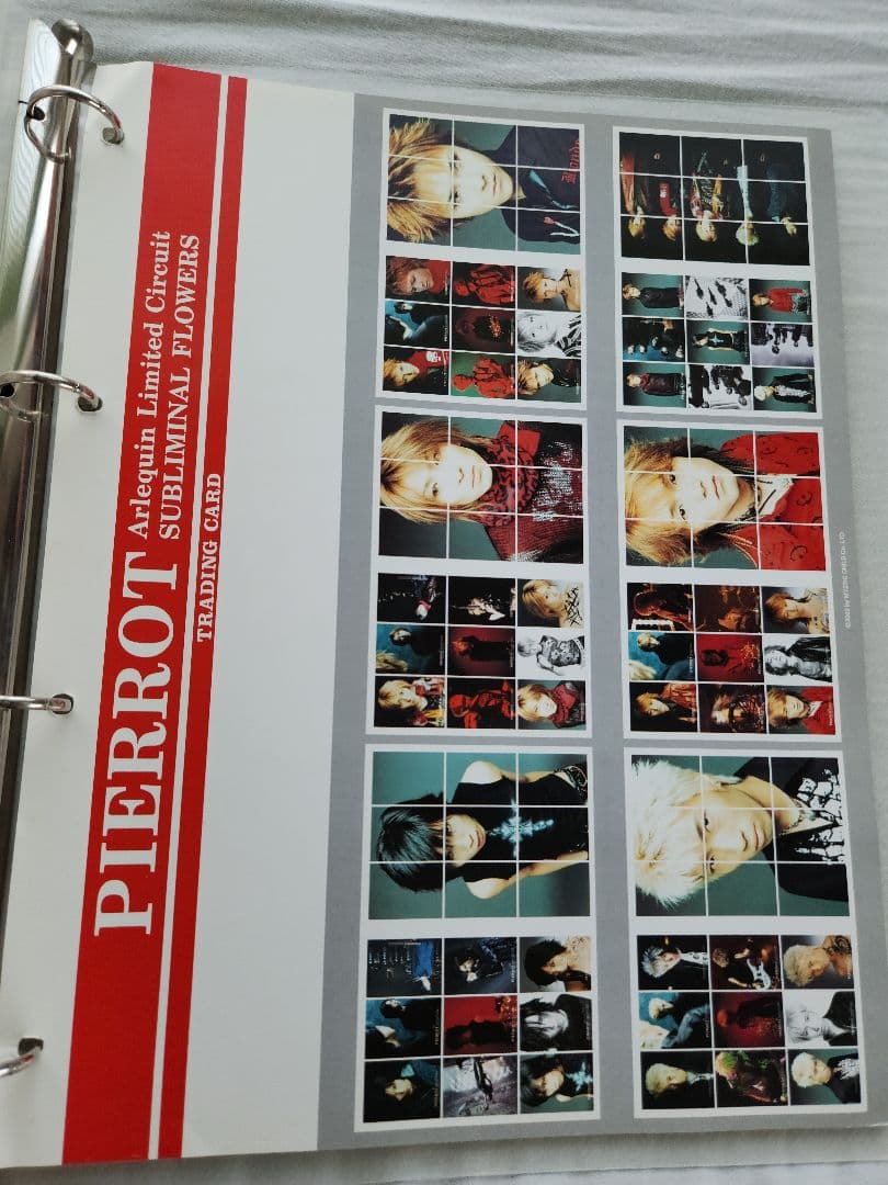 PIERROT 2002年　武道館トレカコンプ　ルーズリーフ　シール