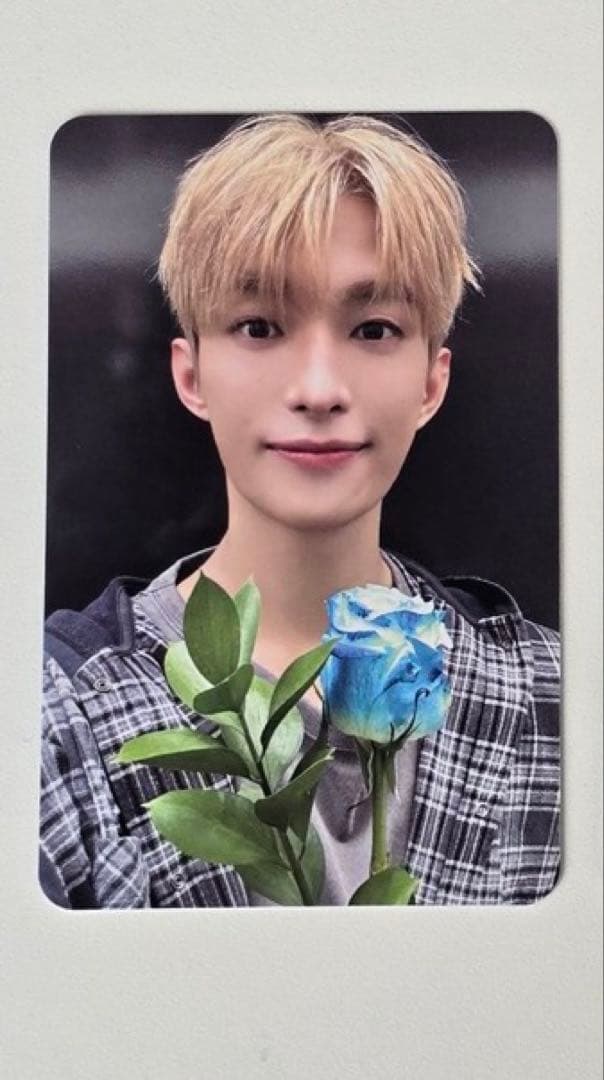 SEVENTEEN DXS ドギョム　DK サノク トレカ