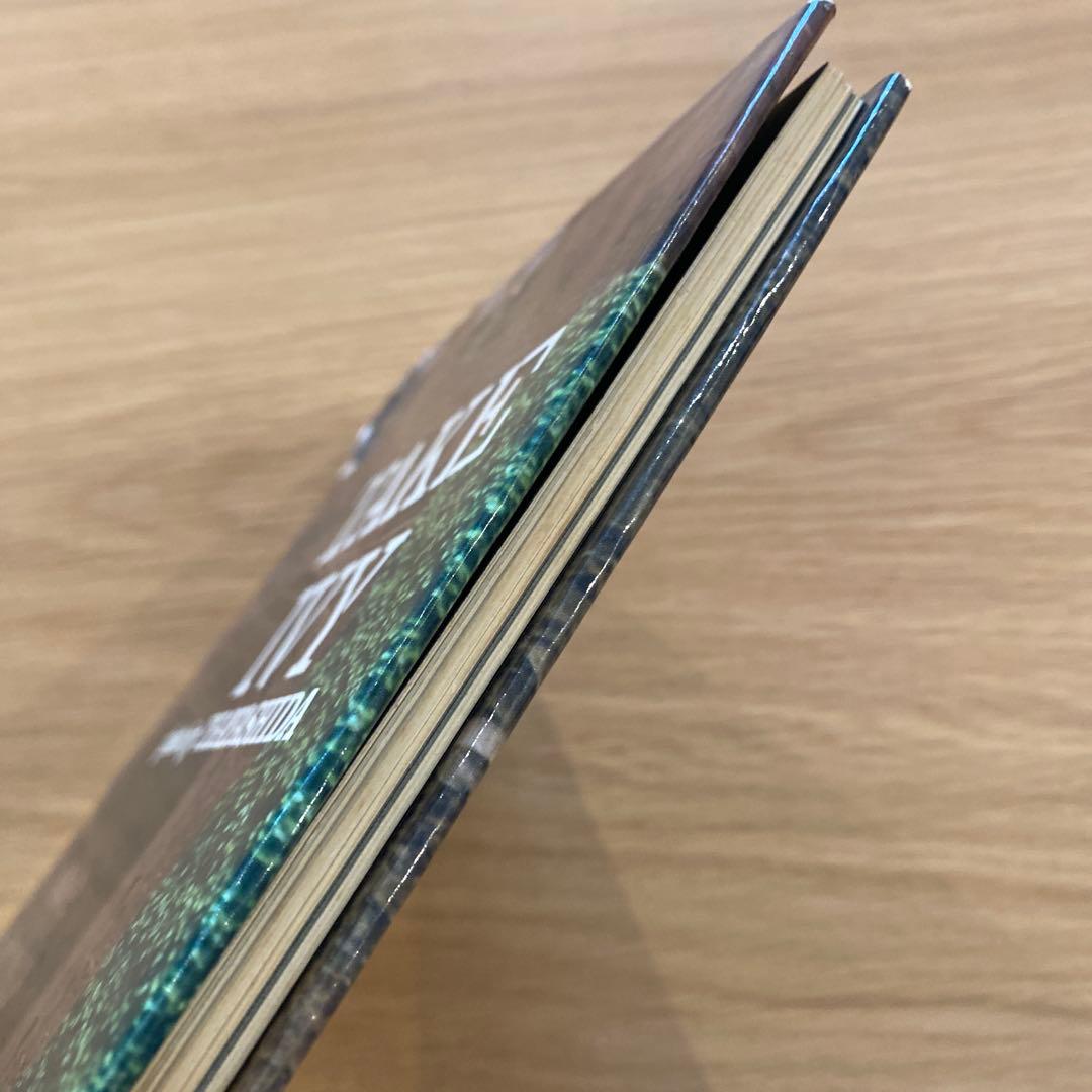 TAKE IVY テイク•アイビー 昭和48年復刻版 婦人画報社 希少本 Ｇ