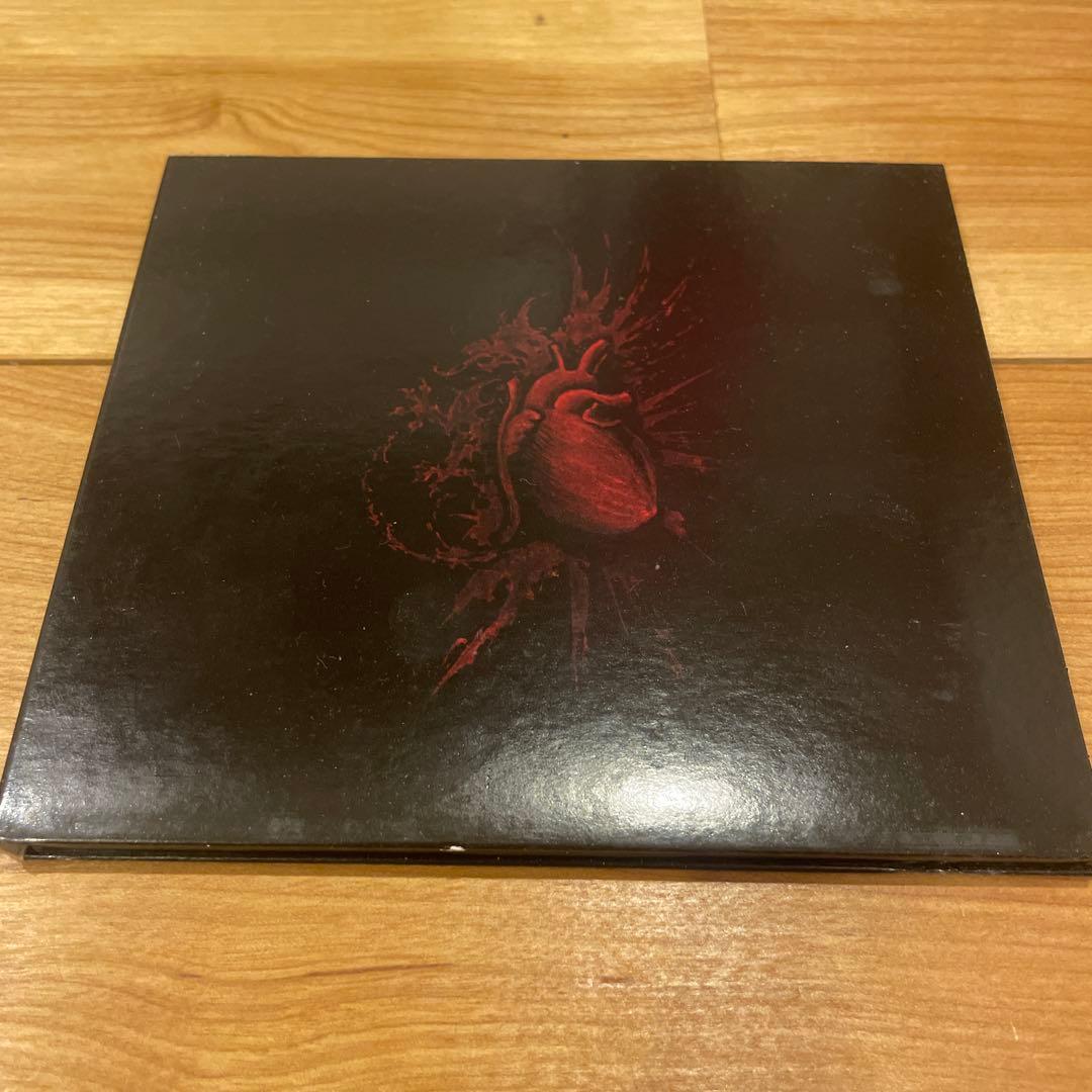 洋楽 S.V.E.S.T / Urfaust