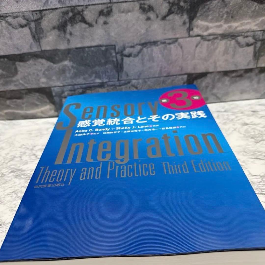 感覚統合とその実践 第3版