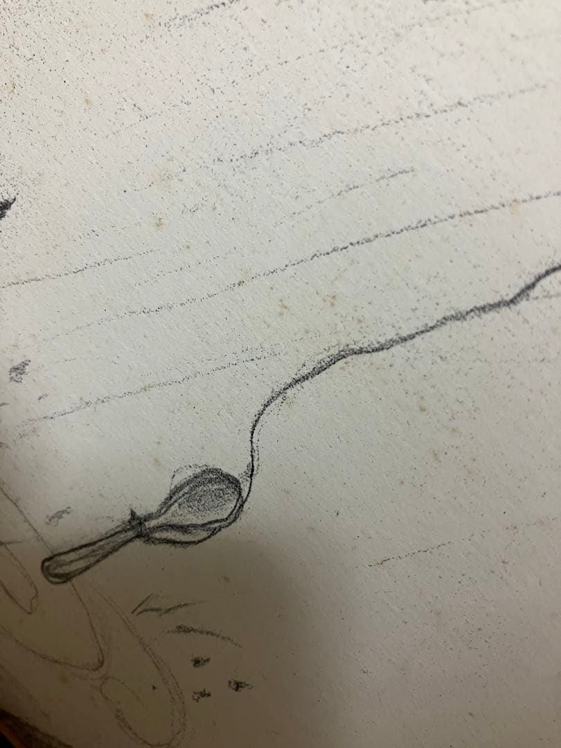 フジ子・ヘミング　『雨の日』　海外　アート