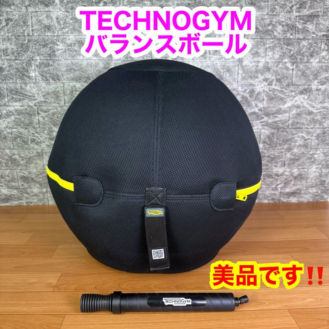 【美品】TECHNOGYM バランスボール　55cm