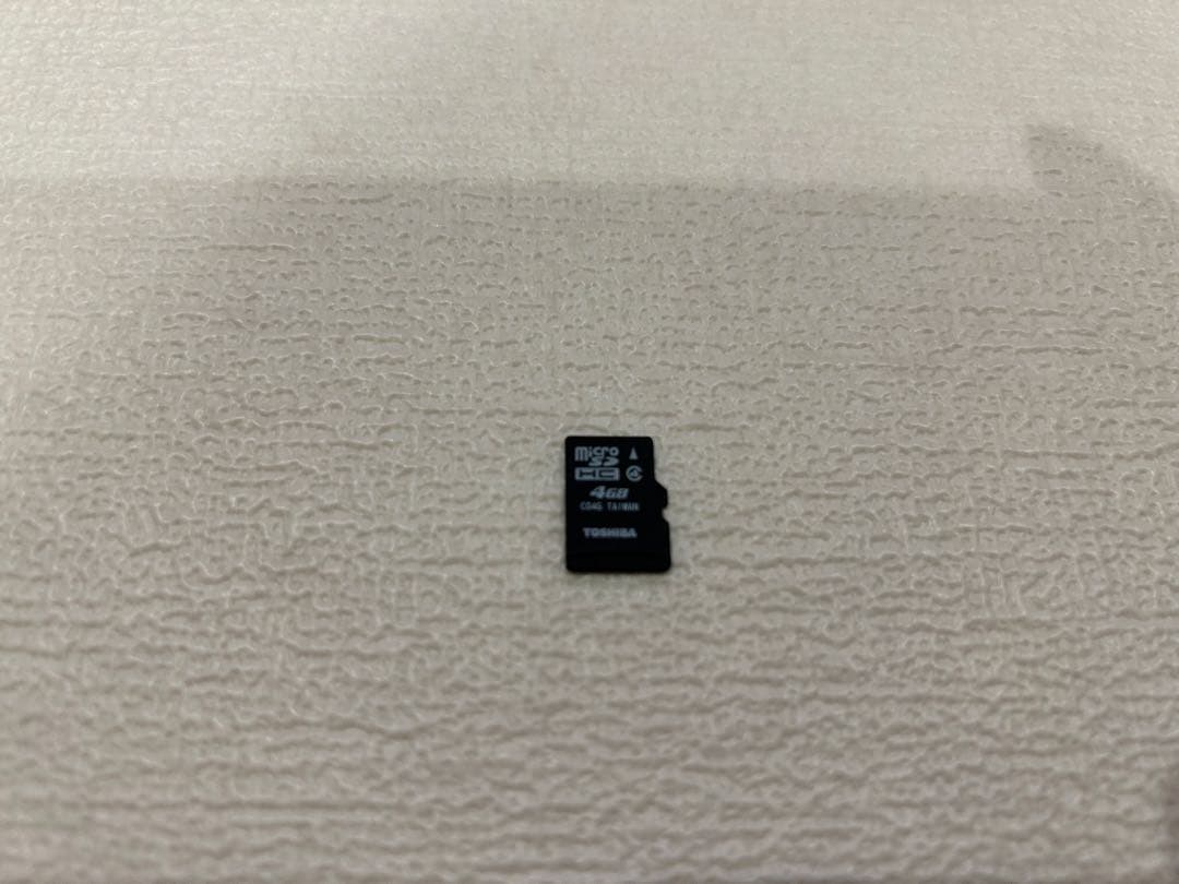 Nintendo Switch Lite グレー　本体のみ