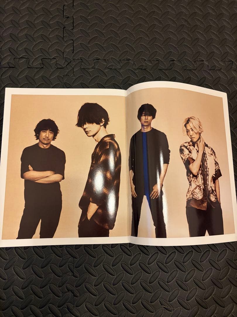 BUMP OF CHICKEN aurora ark2019 グッズ多数付き