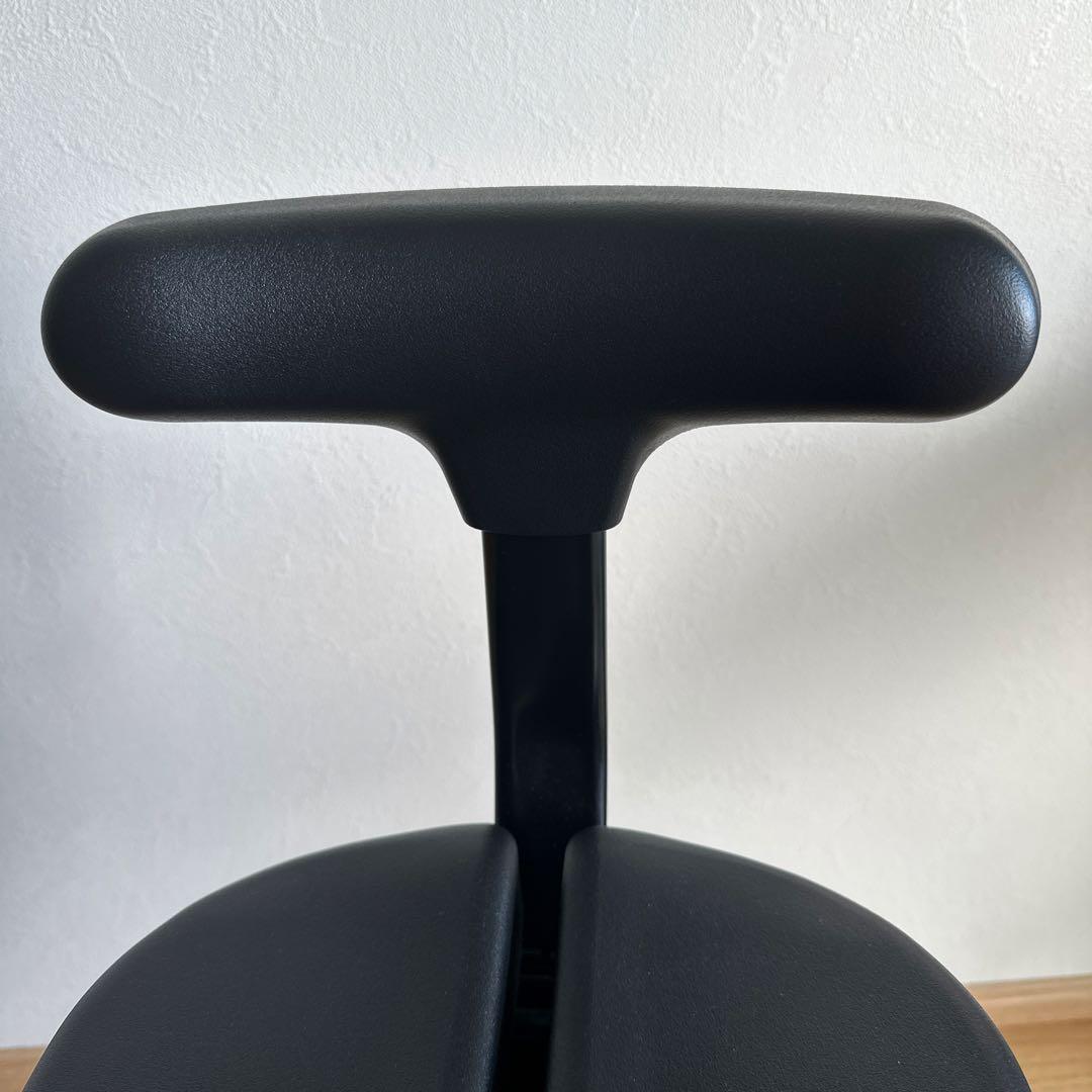 ayurchair 姿勢矯正チェア ブラック